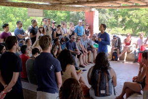 Da Lima: Tour di un giorno (Paracas + Huacachina)