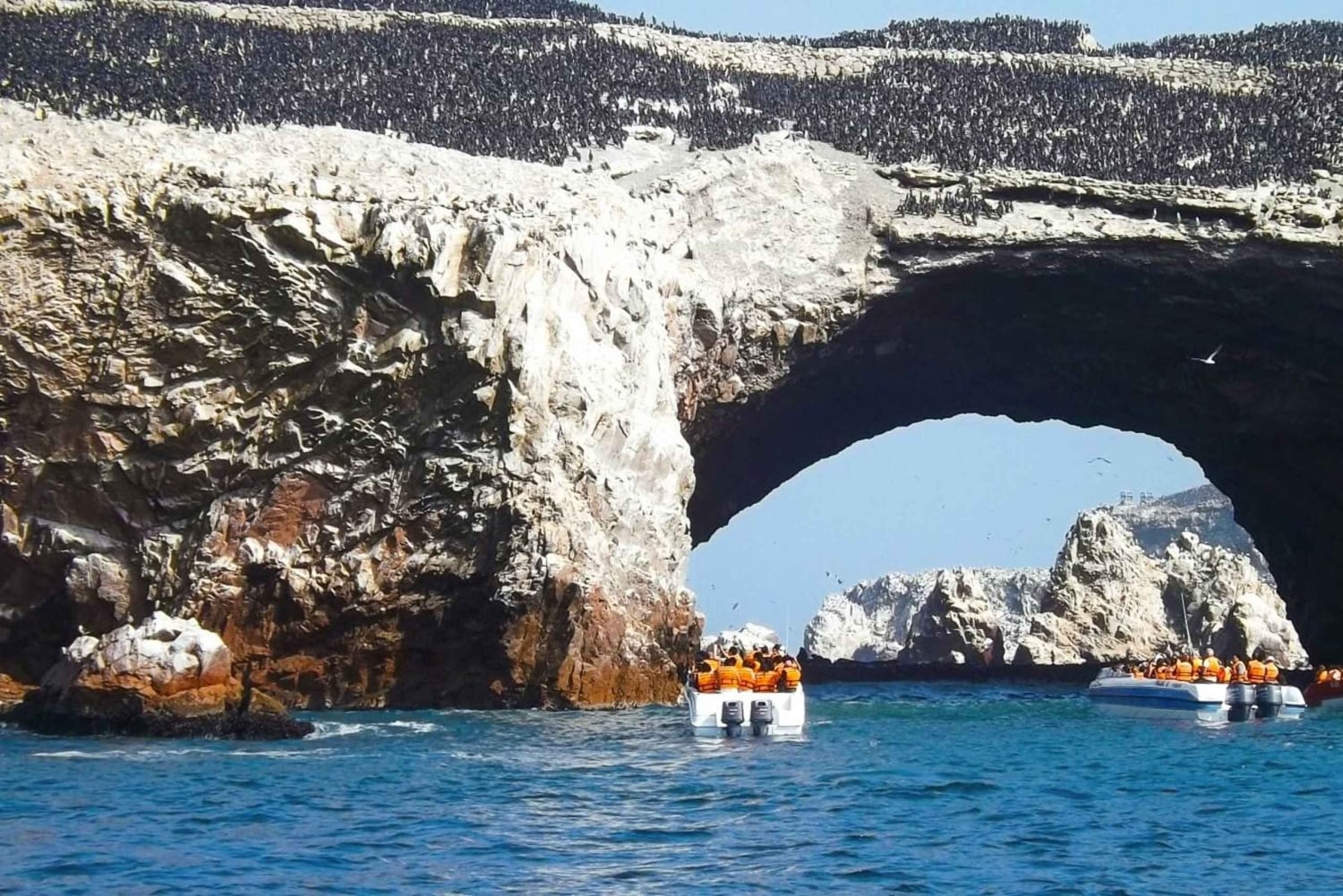 From Lima: Huacachina Oasis & Ballestas Island - ENGL / ESPA