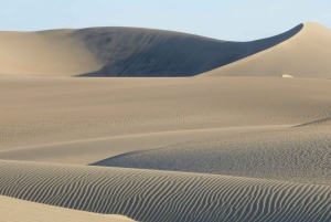 From Lima: Huacachina Oasis & Ballestas Island - ENGL / ESPA