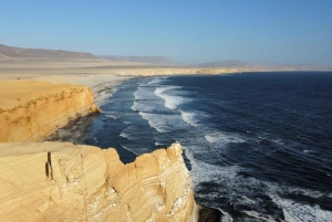 From Lima: Huacachina Oasis & Ballestas Island - ENGL / ESPA