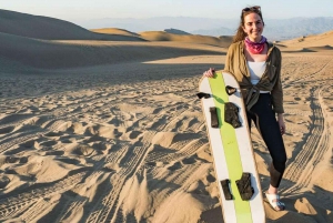 Fra Lima: Dagstur til Huacachina med sandboarding og vinprovning