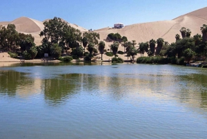 Fra Lima: Dagstur til Huacachina med sandboarding og vinprovning
