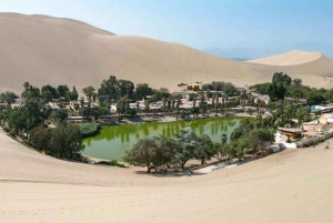 Fra Lima: Dagstur til Huacachina med sandboarding og vinprovning