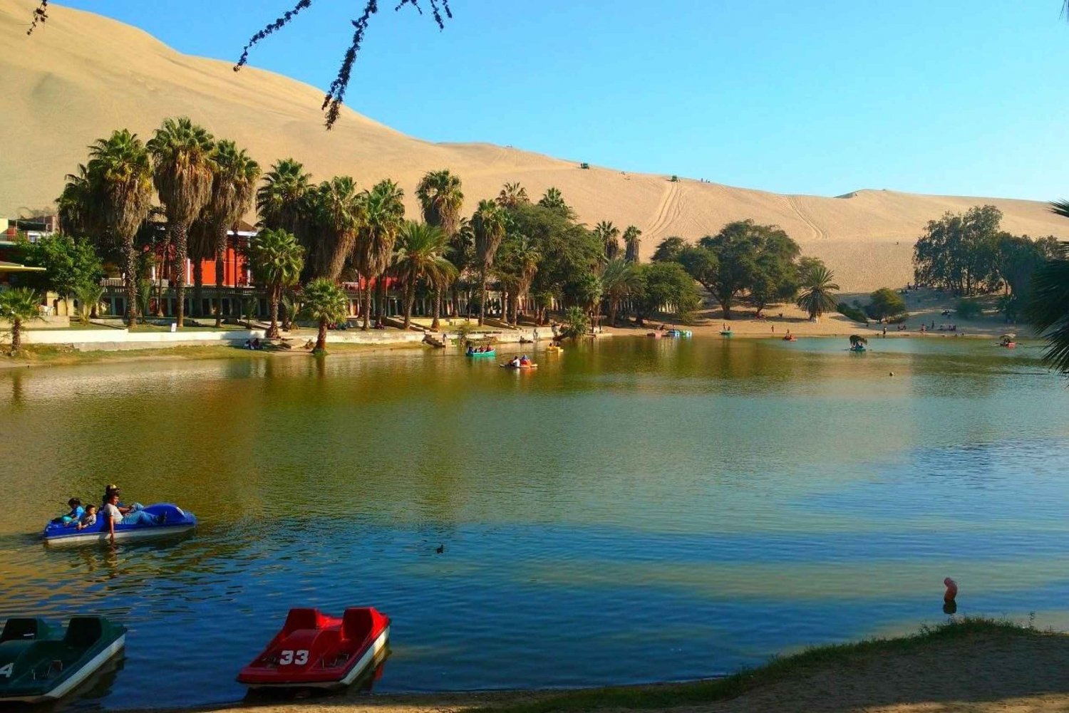 From Lima: Ica Winery and Huacachina Oasis Tour