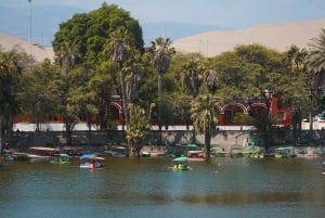 Da Lima: escursione di un giorno alle Linee di Nazca e al deserto di Ica