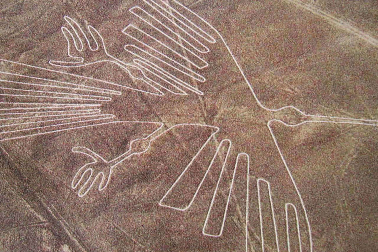 Desde Lima: Vuelo a las Líneas de Nazca con Excursión al Oasis de la Huacachina