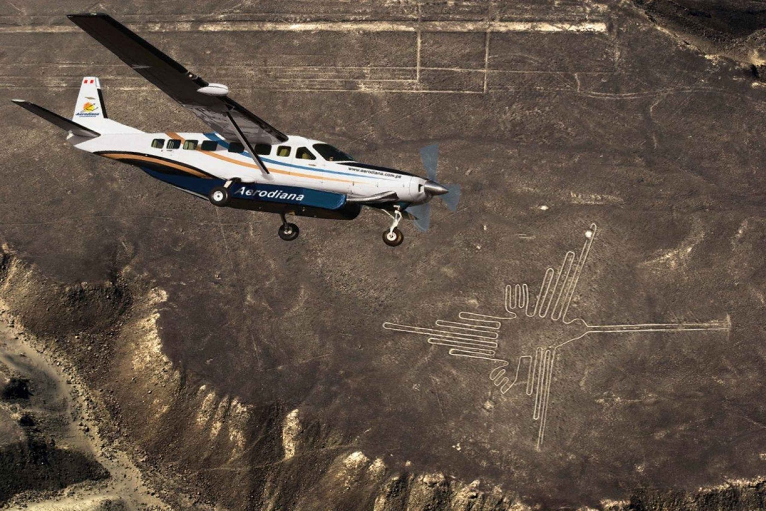 From Lima: Nazca Lines Flight with Huacachina Oasis Tour