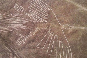 Från Lima: Nazca Lines Flight med Huacachina Oasis Tour