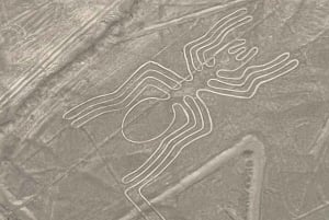 Från Lima: Nazca Lines Flight med Huacachina Oasis Tour
