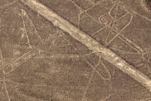 From Lima: Nazca Lines, Huacachina Oasis, & Dune Buggy Tour