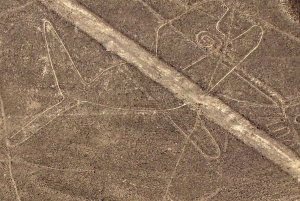 From Lima: Nazca Lines & Huacachina Oasis Guided Tour