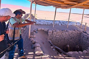 From Lima. Night in Huacachina Oasis-Nazca Lines-Buggy Tour