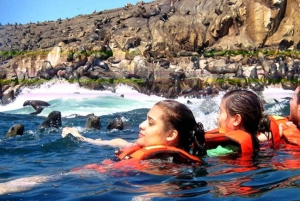 From Lima: Palomino Islands Excursion to Swim with Sea Lions