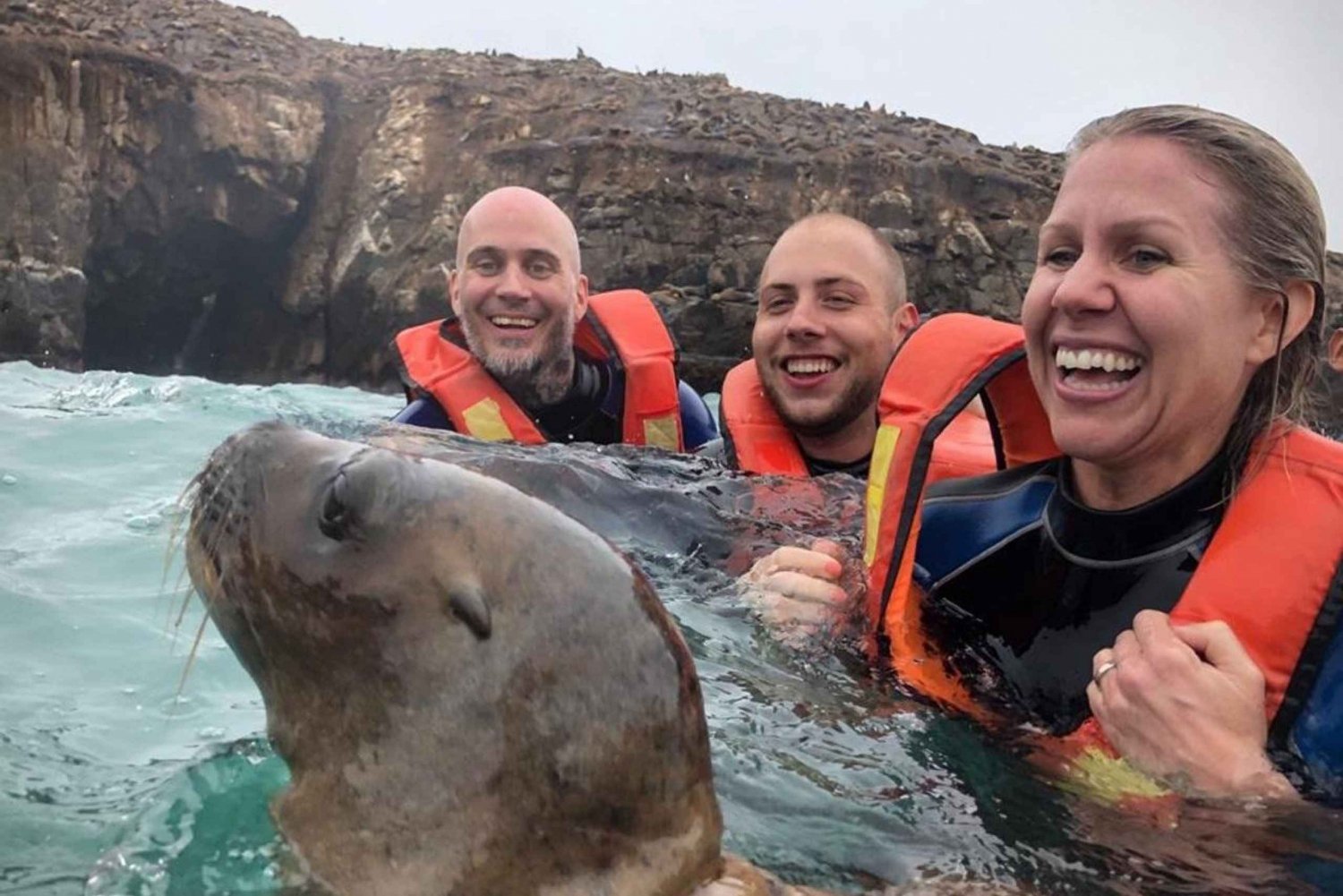 Vanuit Lima: Palomino Eilanden Speedboottour en Zeeleeuwen zwemmen