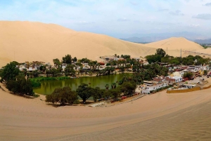 From Lima: Paracas and Huacachina Day Trip with Transfers
