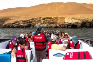 Limasta: Paracas ja Huacachina kokopäiväinen opastettu retki