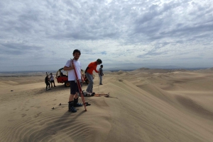 Limasta: Paracas ja Huacachina kokopäiväinen opastettu retki