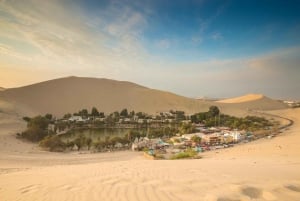 Desde Lima: Visita guiada de día completo a Paracas y el Oasis de la Huacachina