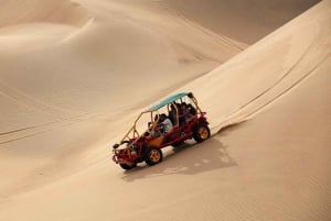 Desde Lima: Visita guiada de día completo a Paracas y el Oasis de la Huacachina