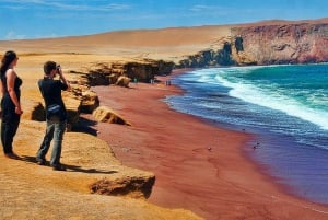 Desde Lima: Visita guiada de día completo a Paracas y el Oasis de la Huacachina