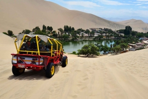 From Lima: Paracas and Huacachina Full-Day Tour with …