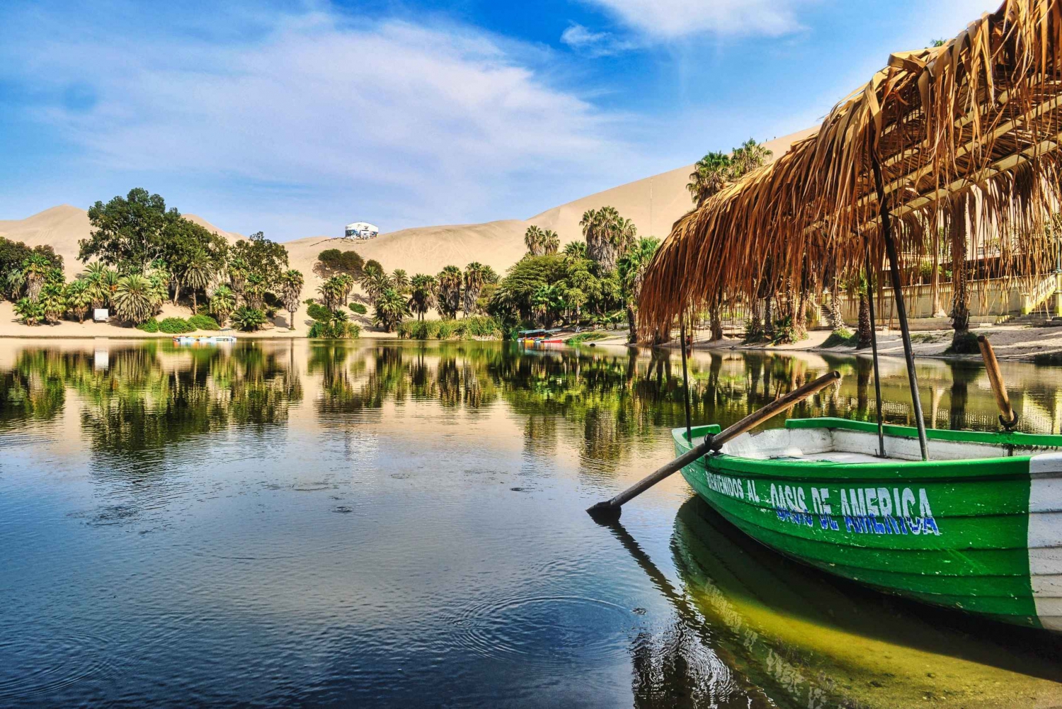 From Lima: Paracas and Huacachina Guided Desert Oasis Trip