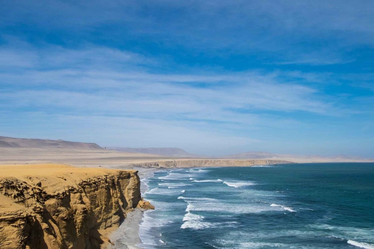 From Lima: Paracas and Huacachina Oasis Full Day Tour
