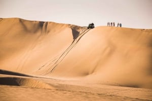 Desde Lima: Excursión de un día a Paracas y el Oasis de la Huacachina