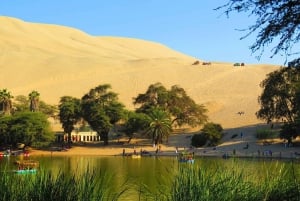 Desde Lima: Excursión de un día a Paracas y el Oasis de la Huacachina