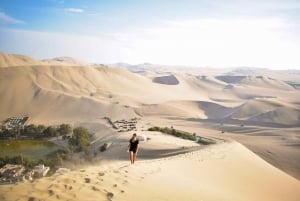 Desde Lima: Excursión de un día a Paracas y el Oasis de la Huacachina