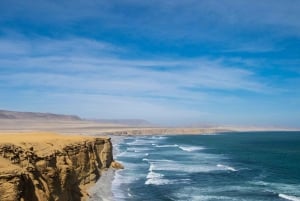 Ab Lima: Ganztagestour Paracas und Huacachina-Oase