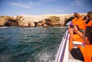 Ab Lima: Ganztagestour Paracas und Huacachina-Oase