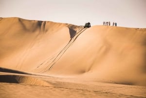 From Lima: Paracas and Huacachina Oasis Full Day Tour