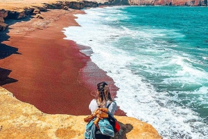 From Lima: Paracas, Ballestas Island & Huacachina 2 Day Tour