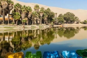 Lima: Visita guiada de um dia a Paracas e ao Oásis de Huacachina