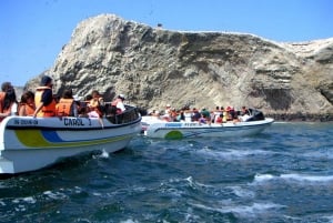 From Lima: Paracas Full Day Guided Tour