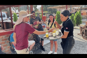 From Lima: Paracas, Ica, and Huacachina Day Tour