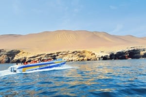 From Lima: Paracas, Ica, and Huacachina Day Tour