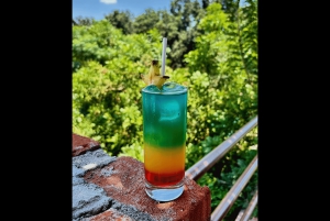 From Lima: Paracas, Ica, and Huacachina Day Tour