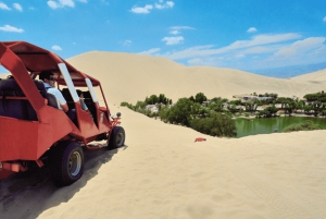 From Lima: Paracas, Ica, and Huacachina Day Tour