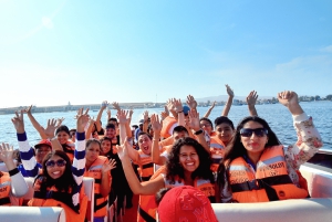 From Lima: Paracas, Ica, and Huacachina Day Tour