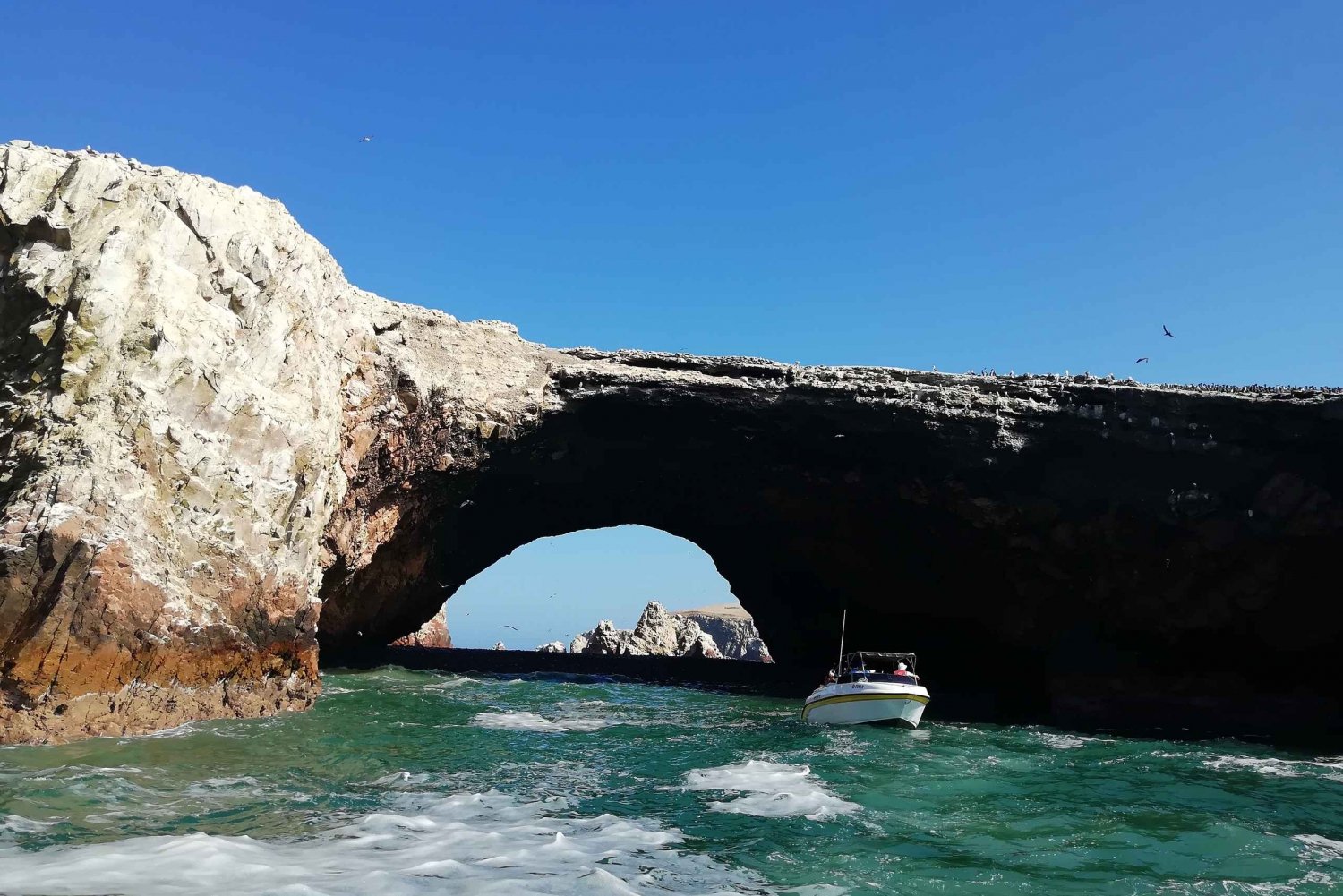 Things to do in Paracas, Peru