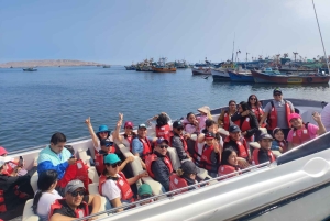 Fra Lima: Paragliding i reservatet + Ballestas-øyene + Ceviche-klasse