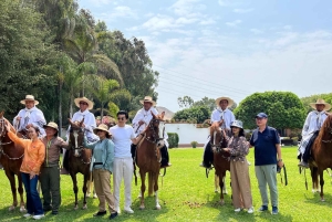 From Lima: Peruvian Paso Horse Show with Lunch and Traditional Dances