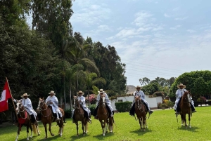 From Lima: Peruvian Paso Horse Show with Lunch and Traditional Dances