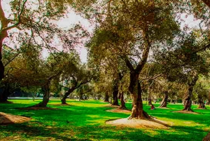 Z Limy: Sanktuarium Pachacamac i Barranco