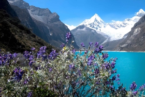 Lima: Huarazin parhaat palat (Laguna Paron, Rocotuyoq ja Congelada) 2 päivässä