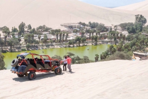 From Lima: Tour to Paracas, Ica and Huacachina