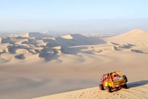 Best tours from Paracas, Peru