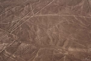 From Nazca: 35-Minute Flight Over Nazca Lines
